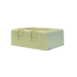 Blank Surface Mount Box with Dust Cover, 2-Port - Ivory - LowVoltageCables